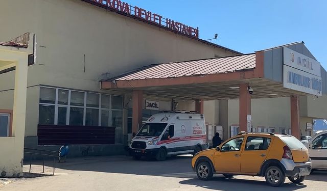 Patlama Faciası, Çoban Yaralandı, Hayvanlar Telef Oldu