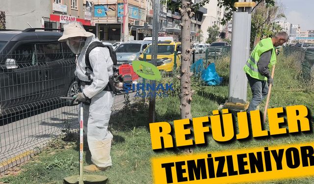 Silopi’de orta refüjler temizleniyor