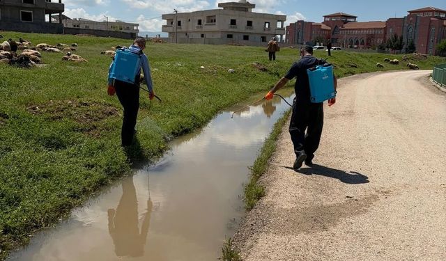 Silopi’de Sivrisinek ve Larvaya Karşı Sahada Yoğun Çalışma