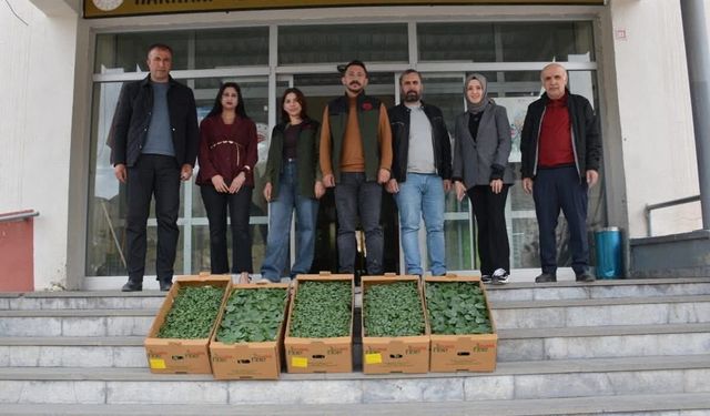 Seralara yönelik fide desteği üreticinin yüzünü güldürdü