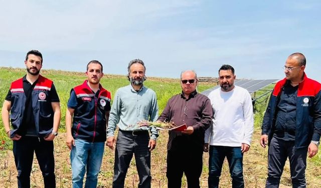 Silopi’de alternatif tarım atağına destek