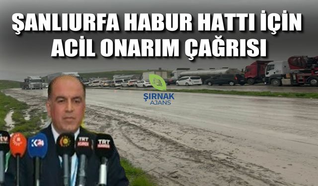 Güncel