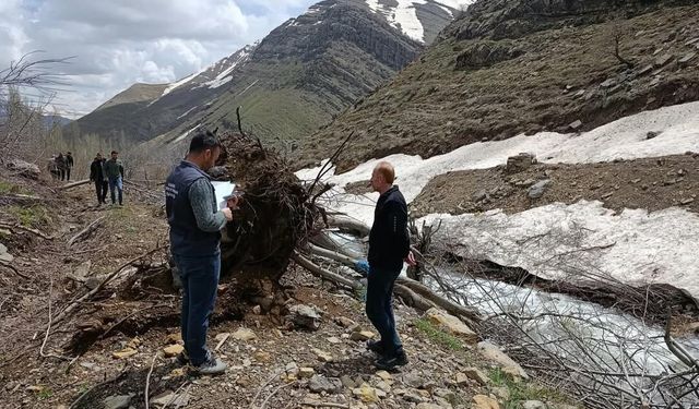 Şırnak'ta Çığın Vurduğu Meyve Bahçeleri Tek Tek İnceleniyor