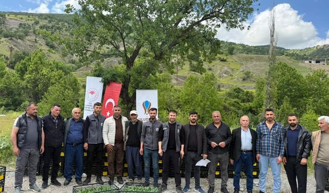 Uludere’de Çiftçilere 33 Bin Sebze Fidesi Desteği