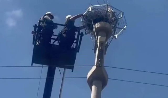 Şırnak Semalarında Güvenli Göç, Leyleklere Özel Yuva Projesi