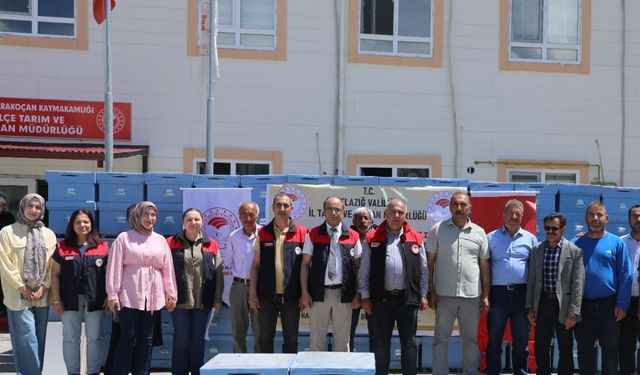 Güncel