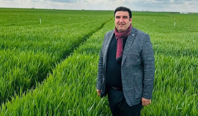Hububat Fiyatları Çiftçiyi Tatmin Etmedi