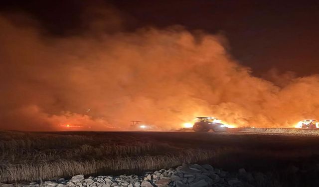 Dün gece çıkan yangında ekili araziler zarar gördü