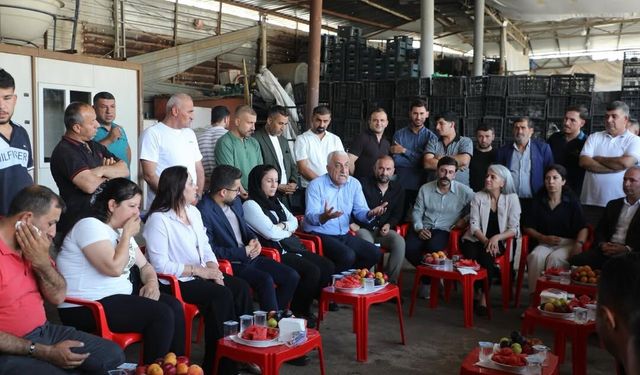 Güncel