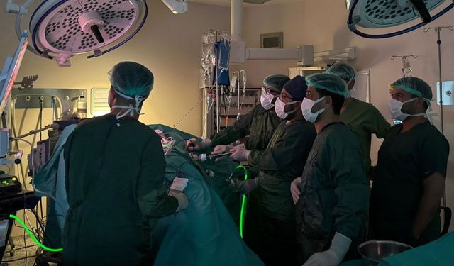 Kapalı yöntemle böbrek koruyucu kanser ameliyatı