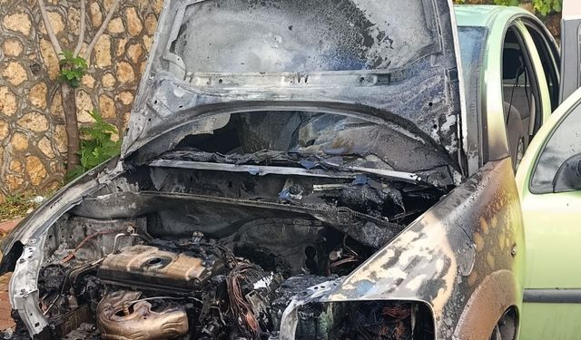 Park halindeki otomobil alev alev yandı