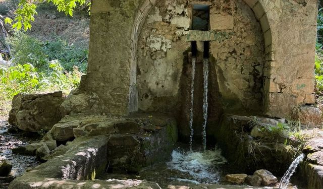 Diyarbakır'da tarihi çeşme harabeye döndü