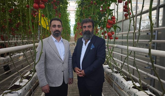 Güncel