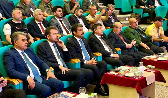Güncel