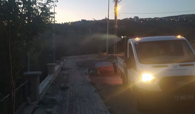 Şırnak’ta Haşereyle Mücadele Aralıksız Sürüyor