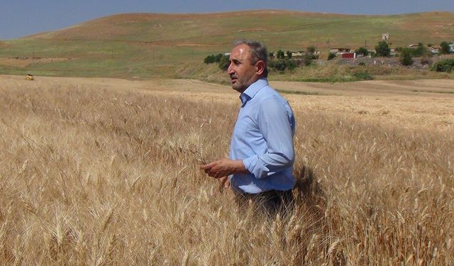 Vekil Demir'den tarla yangınları için “eylem planı” çağrısı