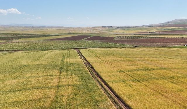Şırnak’a komşu İl’de hasat dönemi hazırlıkları başladı