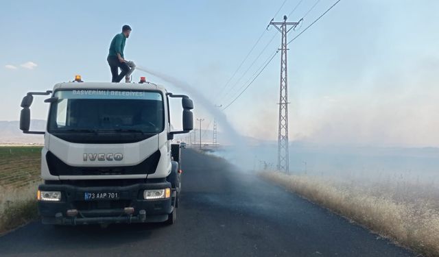 Güncel