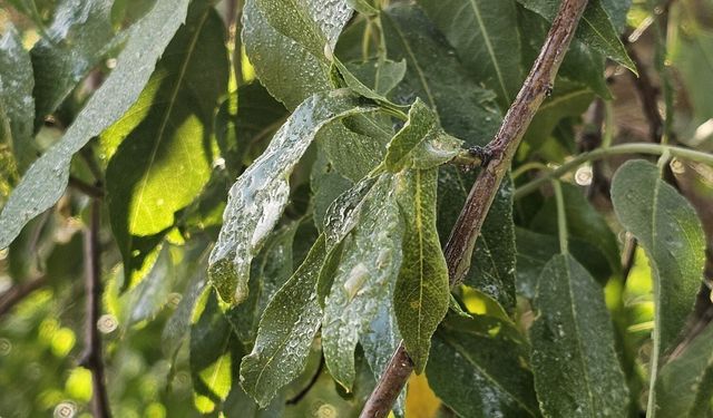 Evliya Çelebi'nin Bahsettiği Mucize Şırnak'ta!