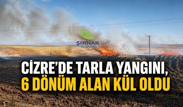 Güncel