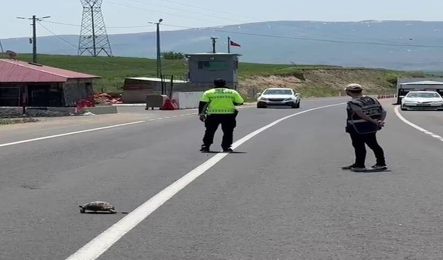 Güncel