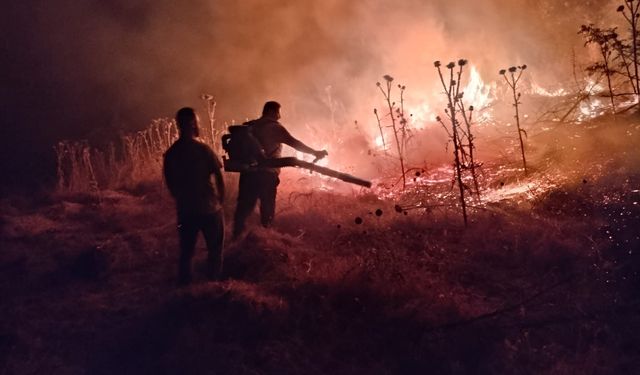 Şırnak'ta 120 dönüm buğday tarlası kül oldu