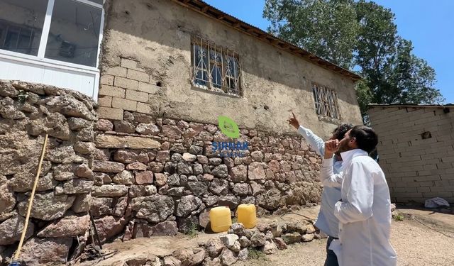 Güncel