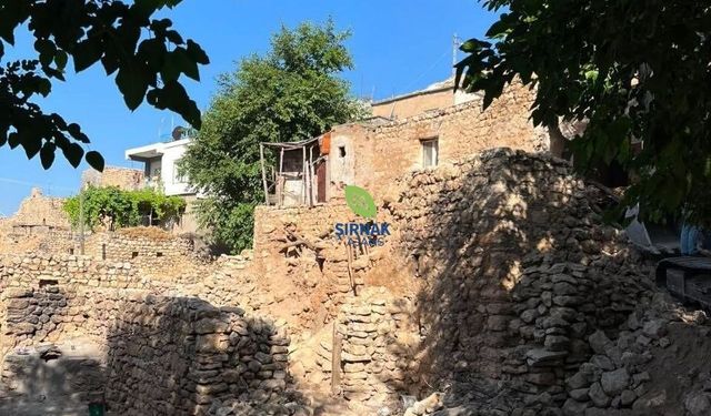 Güncel