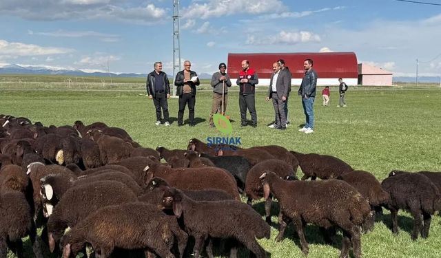 Yetiştiricilere yüzde 50 hibeli makine ve ilaç desteği