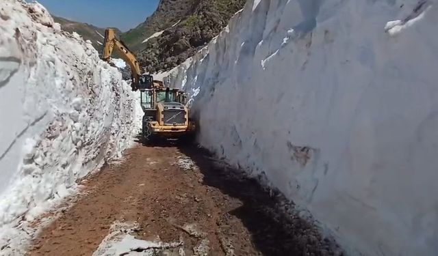 Güncel