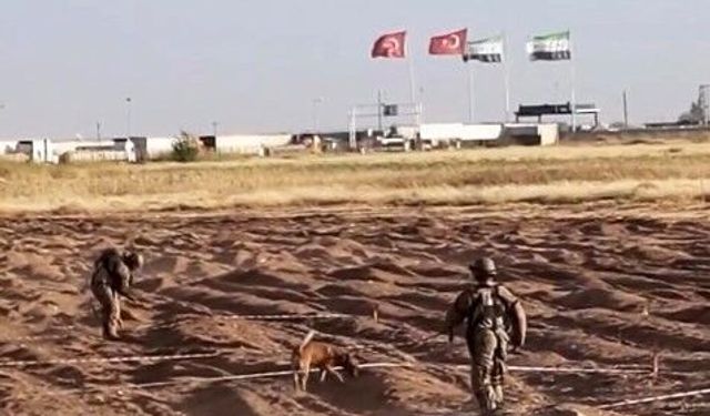 Sınır Hattı'nda mayın temizleme çalışmaları sürüyor
