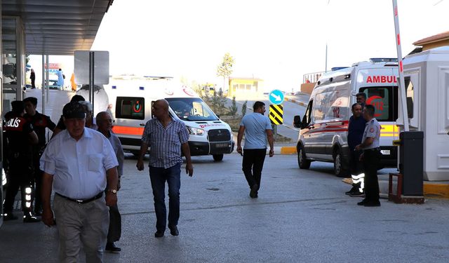 Arı sokmasına bağlı ciddi alerjik reaksiyonlar ölüme sebep olabilir