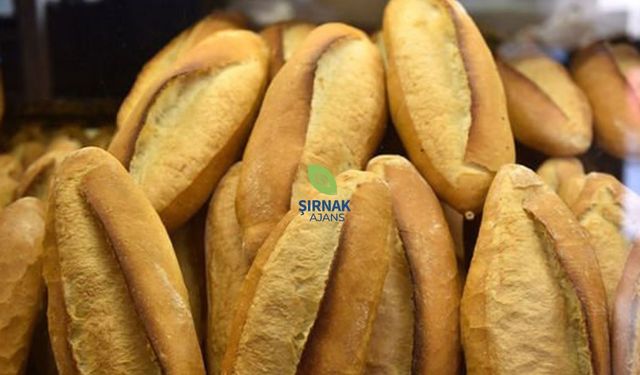 Ekmeğe zam geldi 210 gram ekmek 17,5 TL oldu