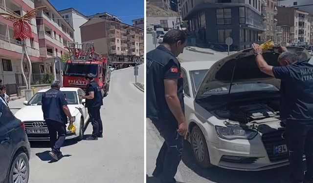 Güncel