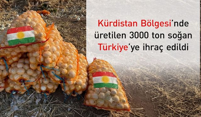 Kürdistan Bölgesi'nden Türkiye'ye İlk Soğan İhracatı Başladı