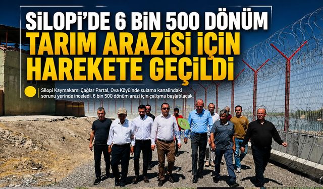 Güncel
