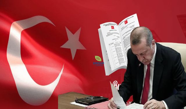 Güncel
