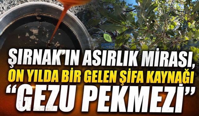 Şırnak'ta Gezu Bereketi Geleneksel Pekmez Üretimi Başladı