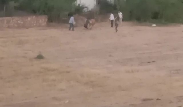 Güncel
