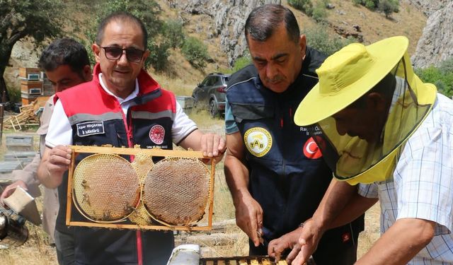 Güncel