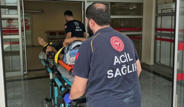 Güncel