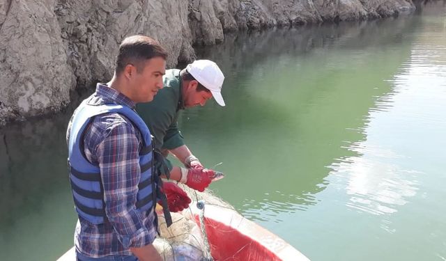 Van'da sazangiller av yasağı sona erdi