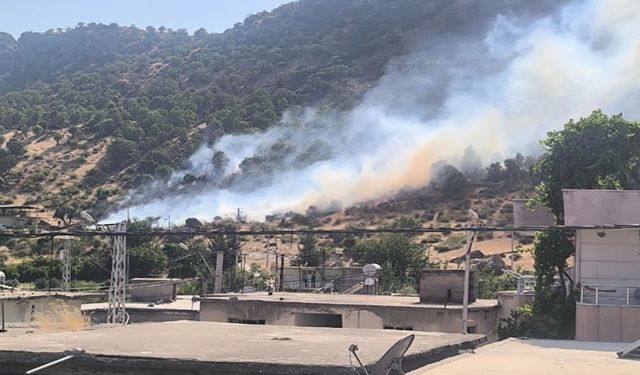 Orman yangını büyümeden kontrol altına alındı