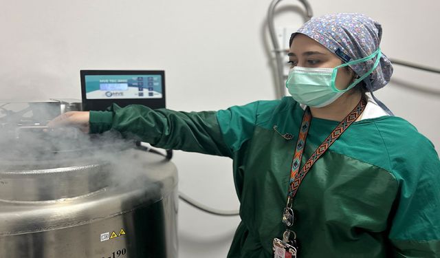 Tüp bebek tedavisinde ilk gebelikler başladı