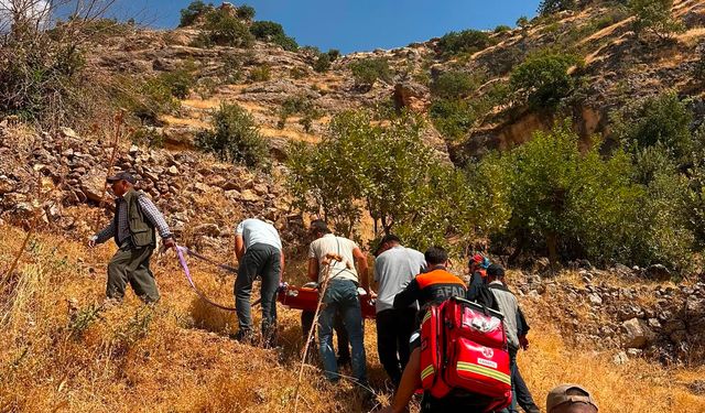 Şırnak’ta Ağaçtan Düşen Vatandaşa Ekipler Ulaştı