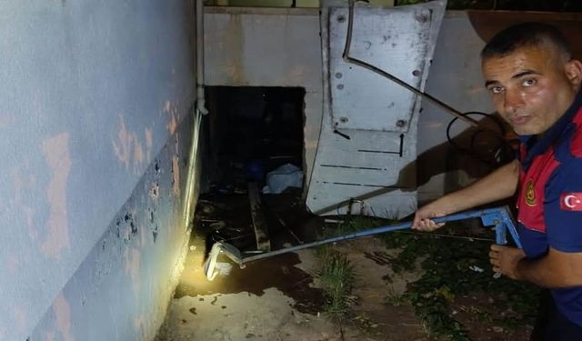 Evin deposuna giren yılan ekipleri harekete geçirdi
