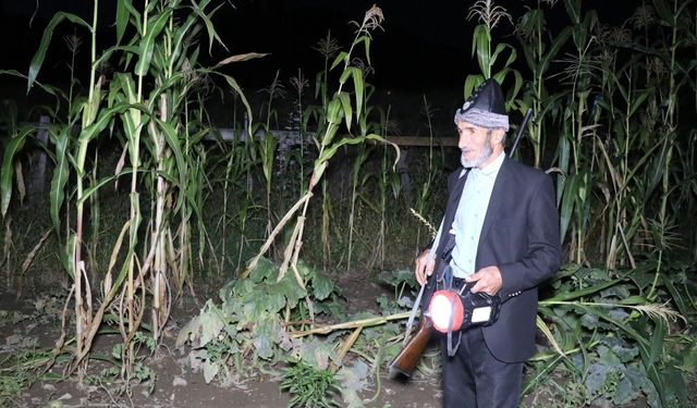Kültür - Sanat