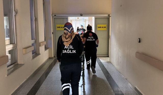 Güncel