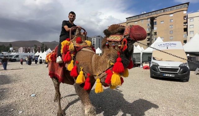 Güncel