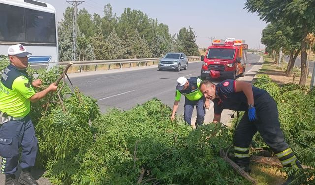 Güncel